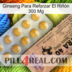 Ginseng Para Reforzar El Riñón 300 Mg 41